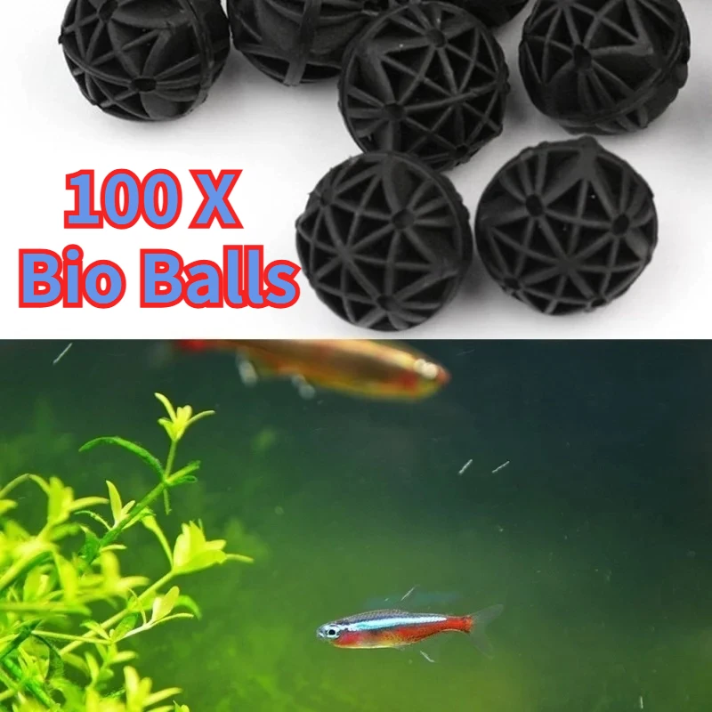 Marine Aquarium Home - 50/100 adet ev akvaryum gölet biyo