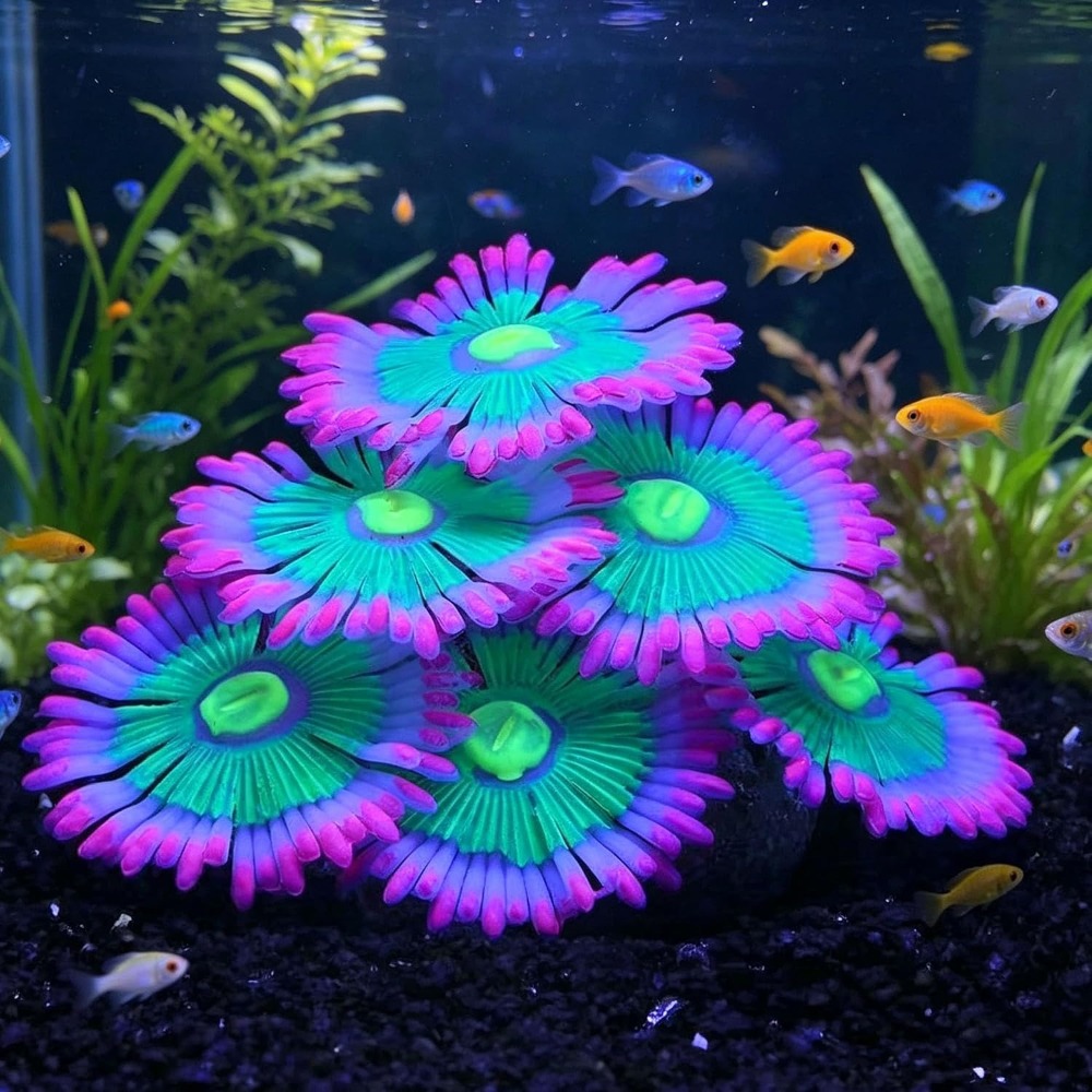 Marine Aquarium All In One - Parlayan Yumuşak Akvaryum Balık Tankı Süsleri