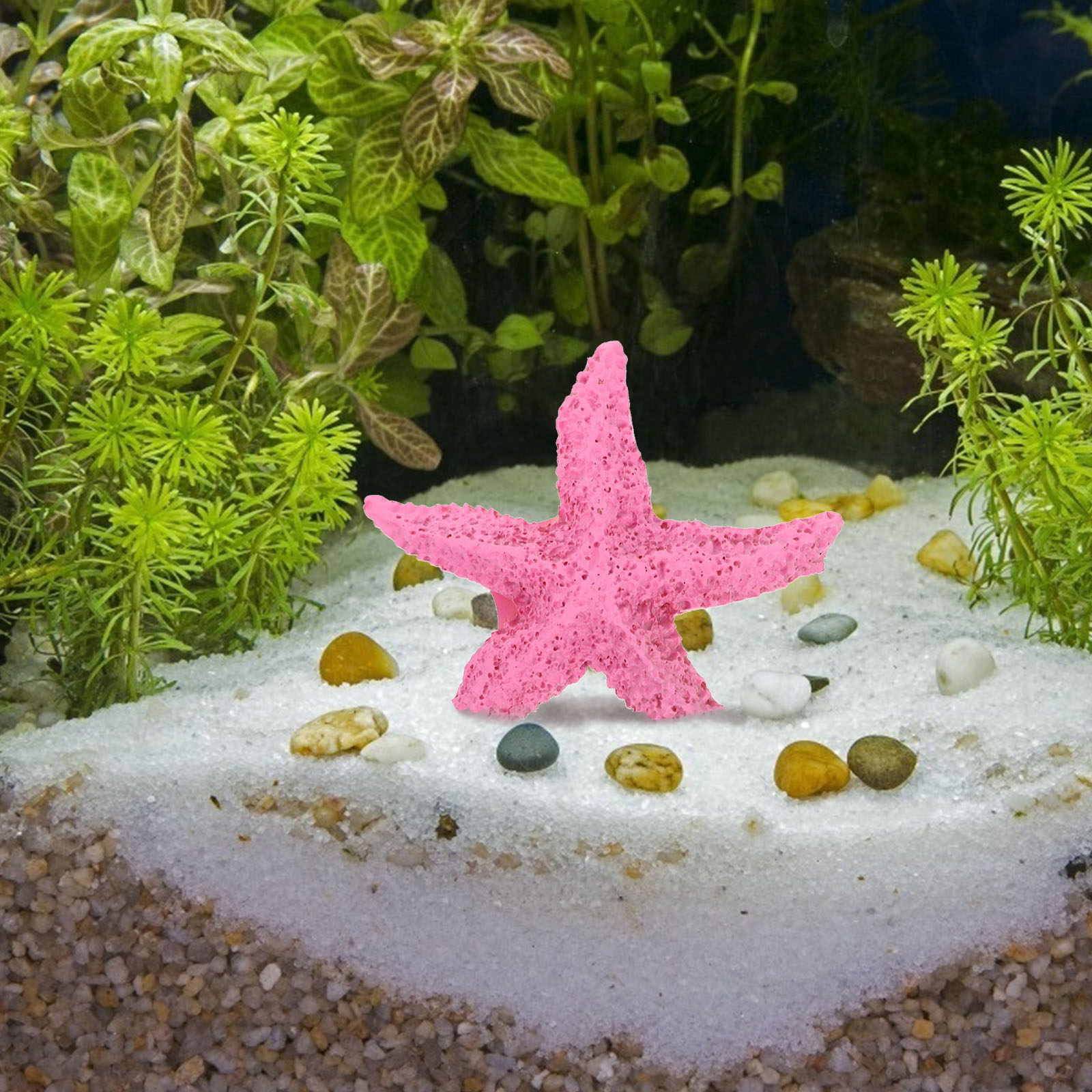 2 Adet Yapay Deniz Hayvanı Fig - Marine Aquarium Home incelemesi ve fiyatı