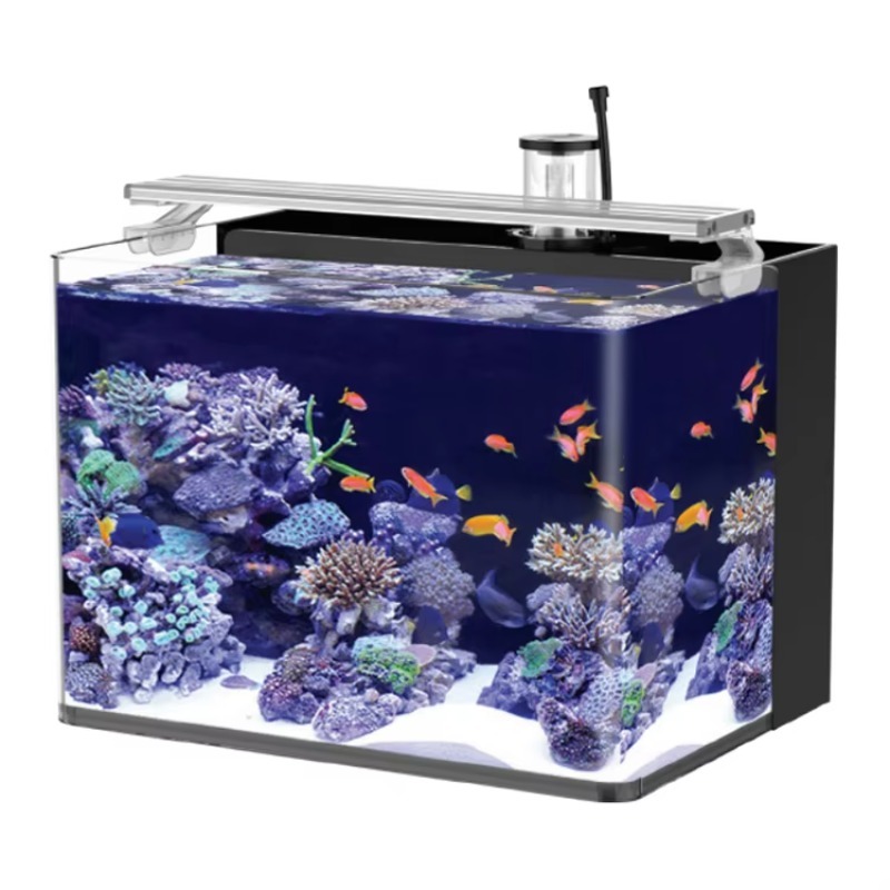 Kavisli Tuzlu Su Deniz Balığı  - Marine Aquarium All In One incelemesi ve fiyatı